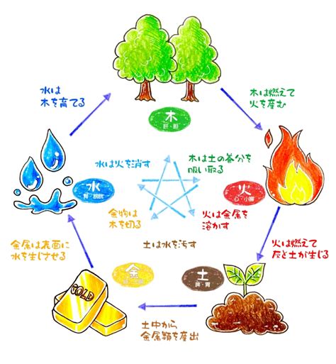 陰陽五行 水 性格|陰陽五行占い｜生年月日でわかるあなたの五行属性・ 